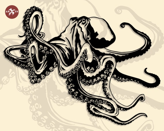 Detail Squid Vector Png Nomer 43