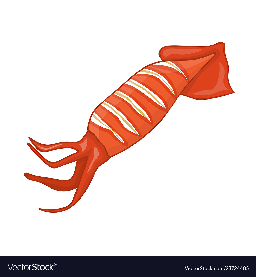 Detail Squid Vector Png Nomer 6