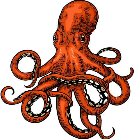 Detail Squid Vector Png Nomer 53