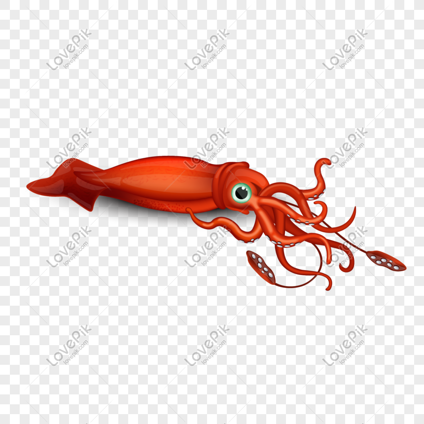 Detail Squid Vector Png Nomer 9