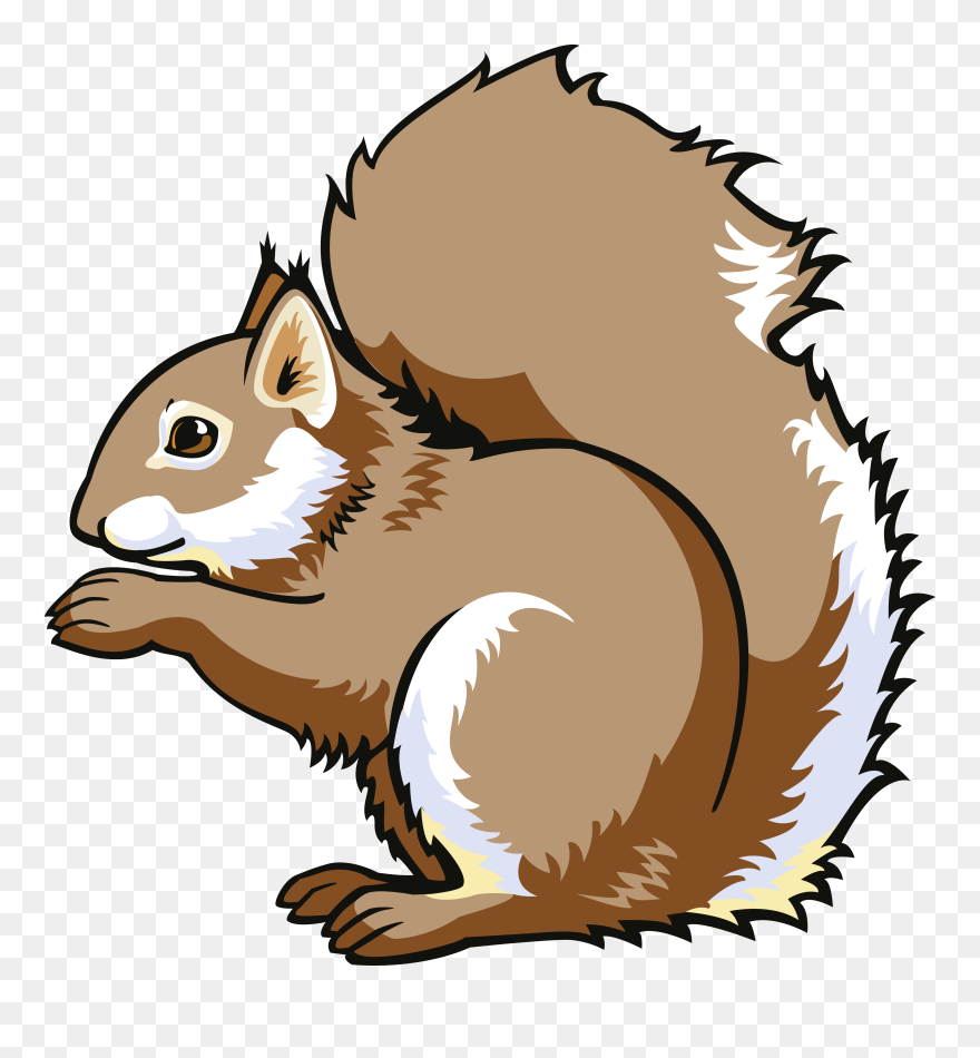 Detail Squirrel Clipart Nomer 9