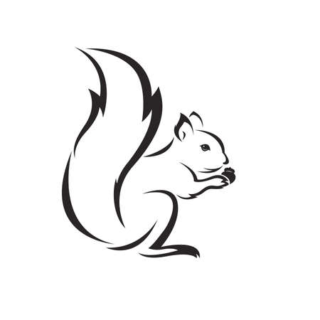 Detail Squirrel Clipart Black And White Nomer 17