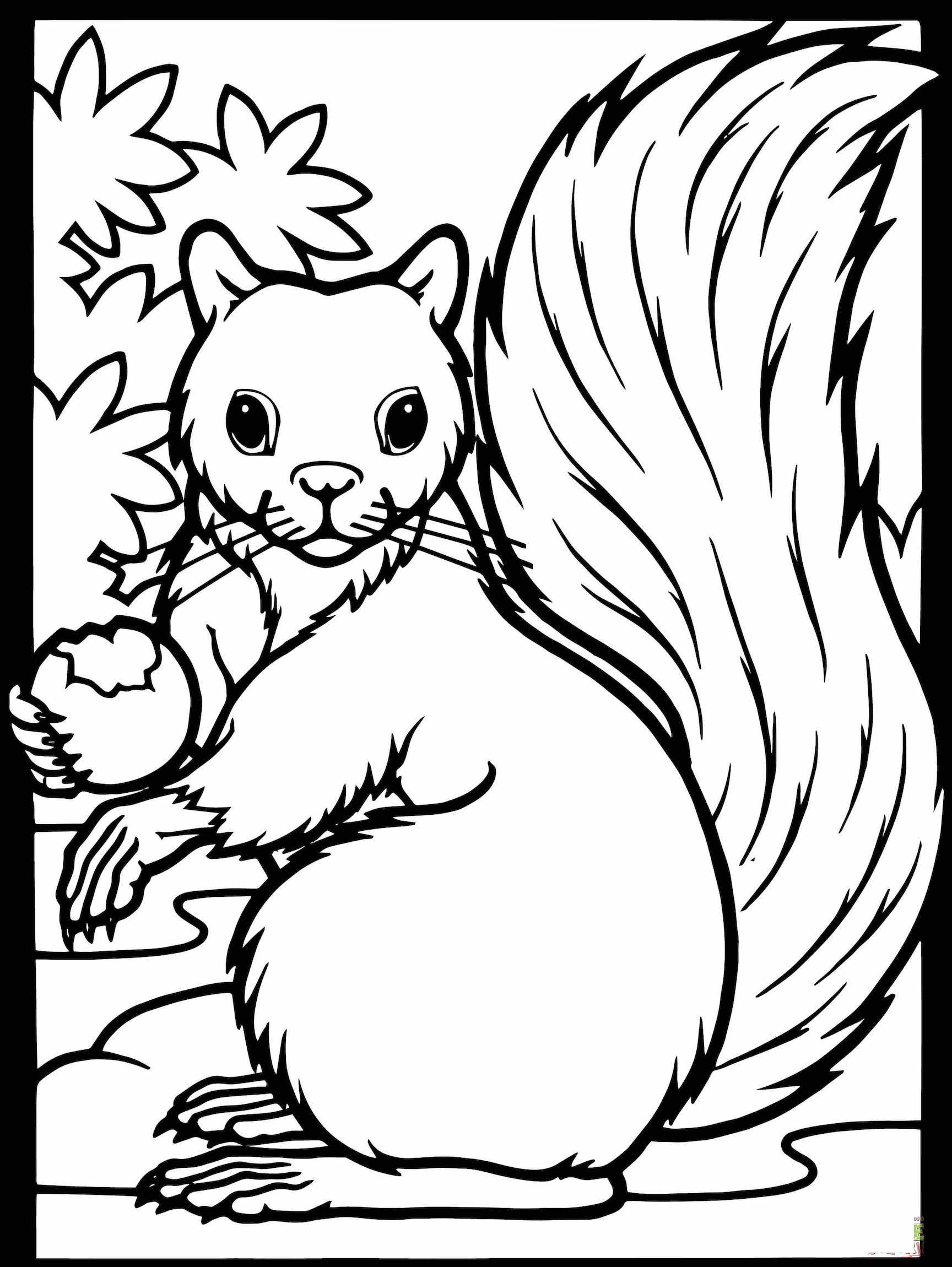 Detail Squirrel Clipart Black And White Nomer 44
