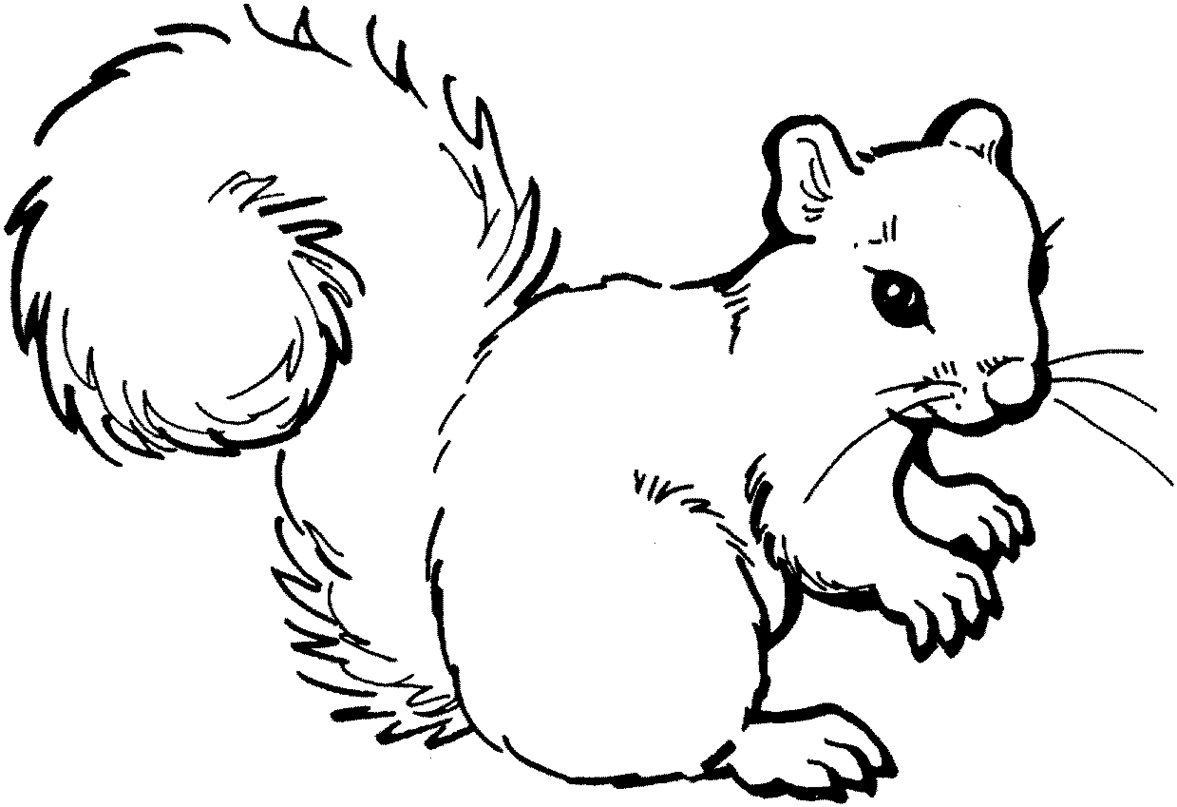Detail Squirrel Clipart Free Nomer 23