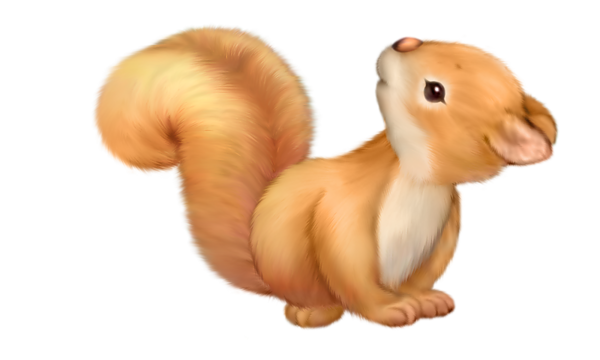 Detail Squirrel Clipart Free Nomer 45