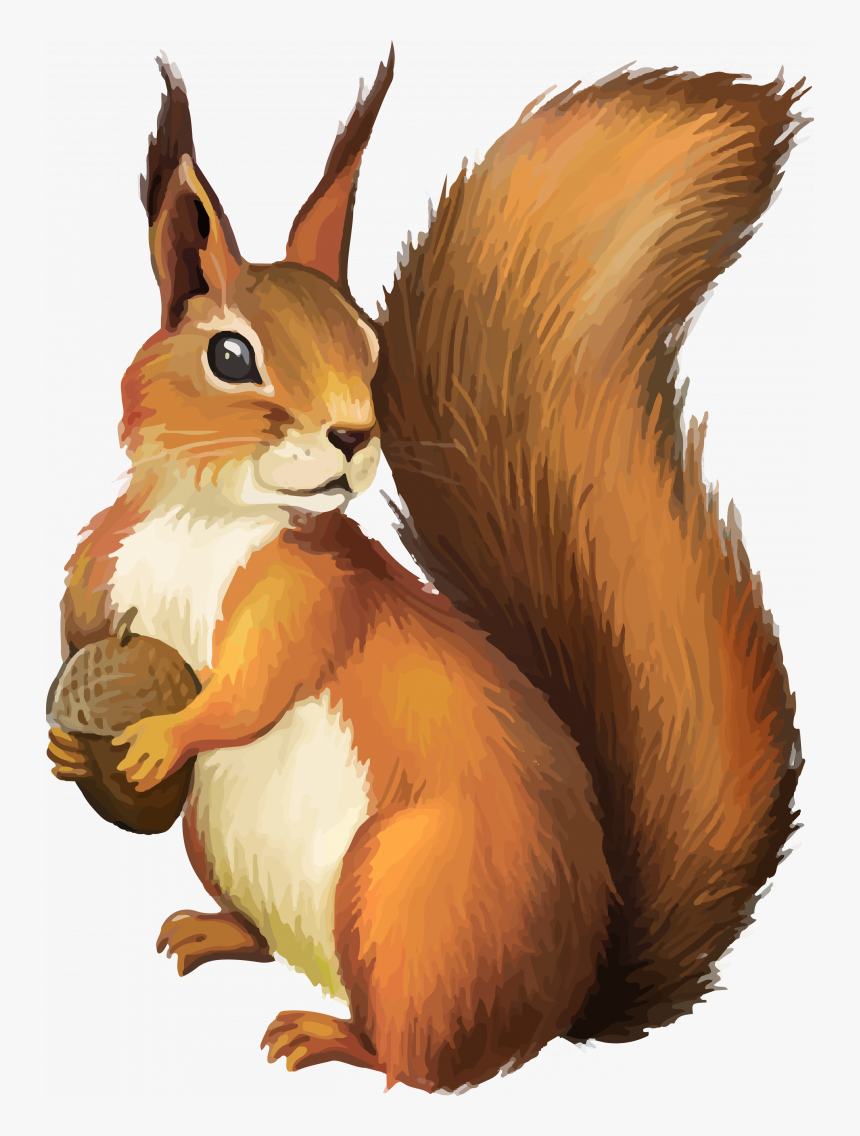 Detail Squirrel Download Nomer 3