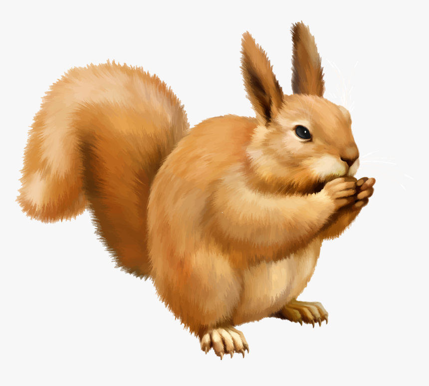 Detail Squirrel Download Nomer 35