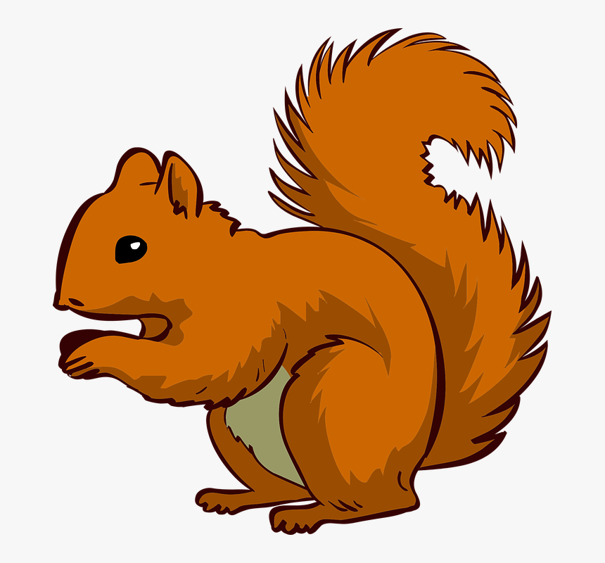 Detail Squirrel Download Nomer 39