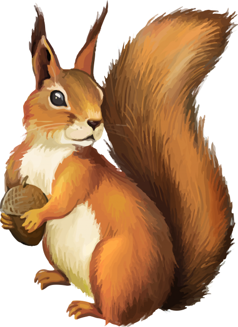Detail Squirrel Hd Nomer 34