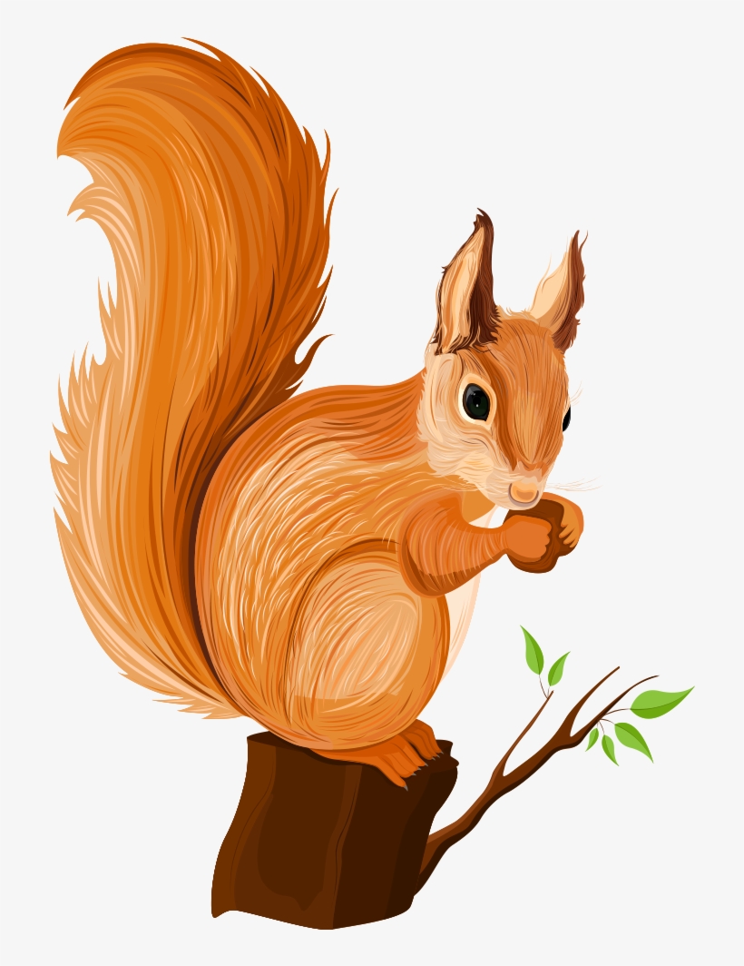 Detail Squirrel Illustrations Nomer 18
