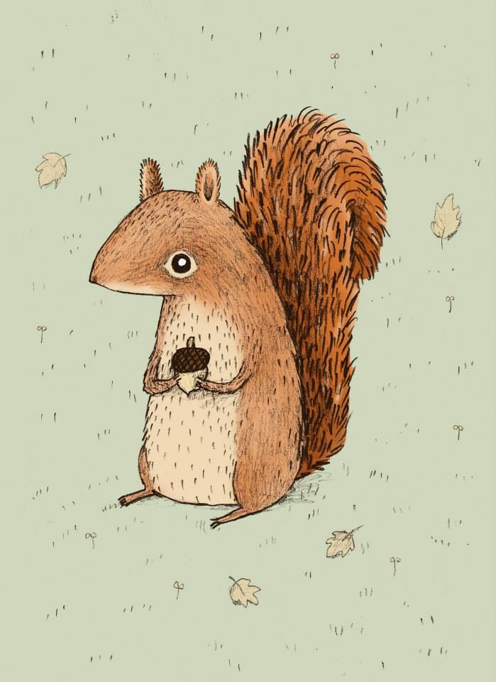 Detail Squirrel Illustrations Nomer 3