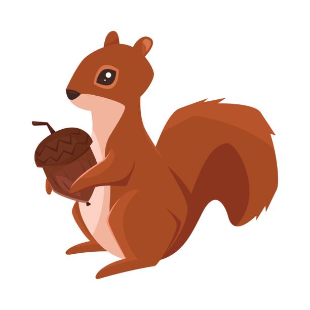 Detail Squirrel Illustrations Nomer 4