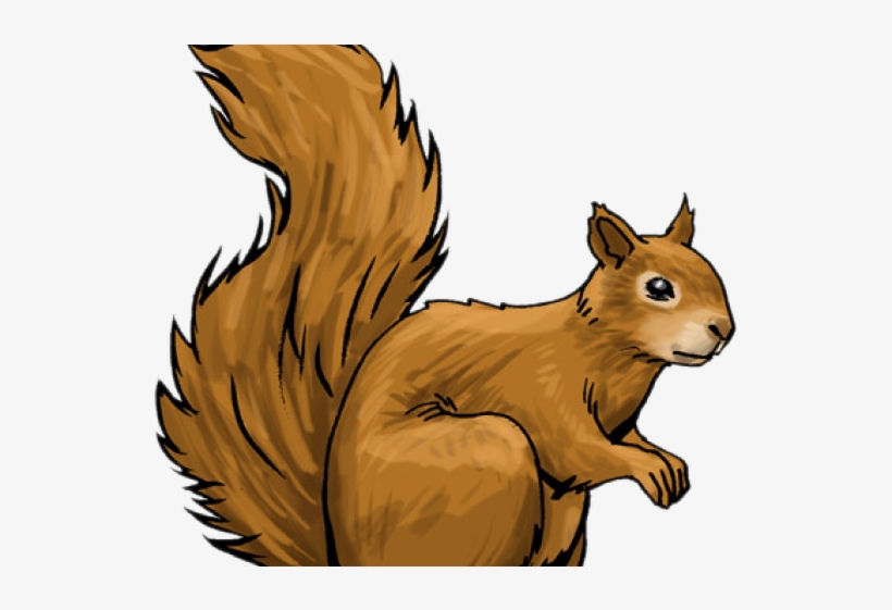 Detail Squirrel Illustrations Nomer 44