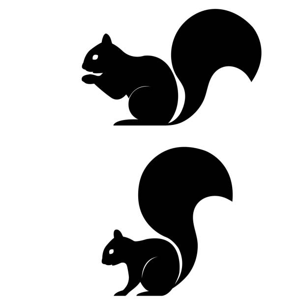 Detail Squirrel Illustrations Nomer 10