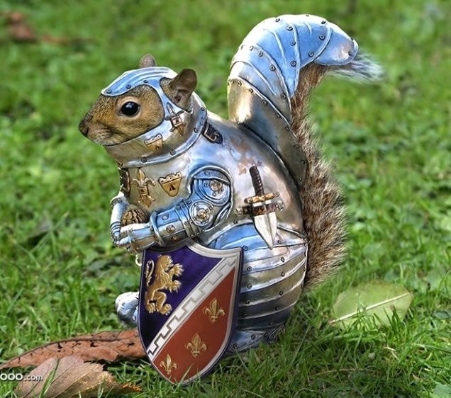 Squirrel In Armor Meme - KibrisPDR