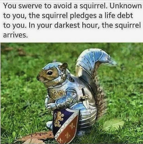 Detail Squirrel In Armor Meme Nomer 2