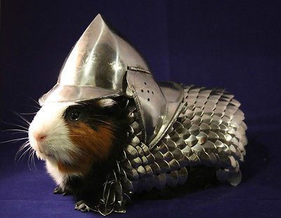 Detail Squirrel In Armor Meme Nomer 12