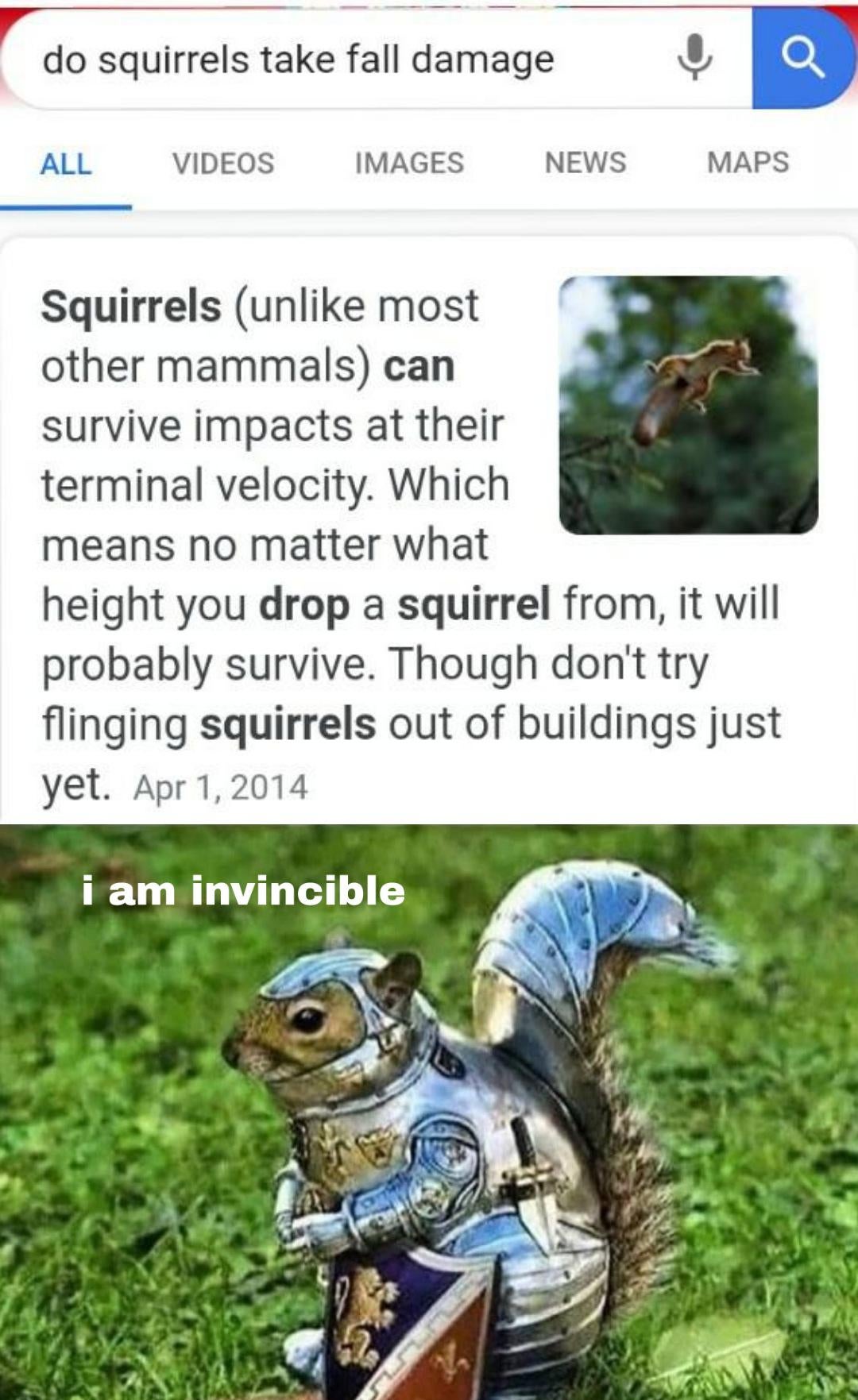 Detail Squirrel In Armor Meme Nomer 3