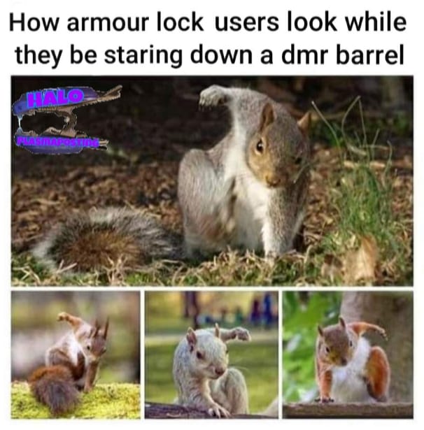 Detail Squirrel In Armor Meme Nomer 21