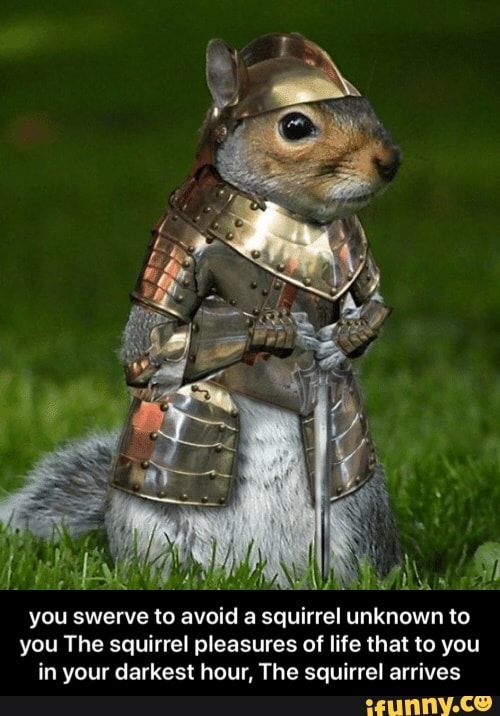 Detail Squirrel In Armor Meme Nomer 4