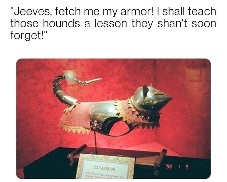 Detail Squirrel In Armor Meme Nomer 35