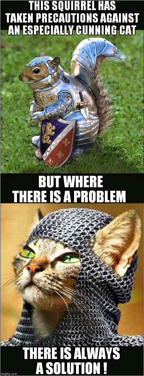 Detail Squirrel In Armor Meme Nomer 39