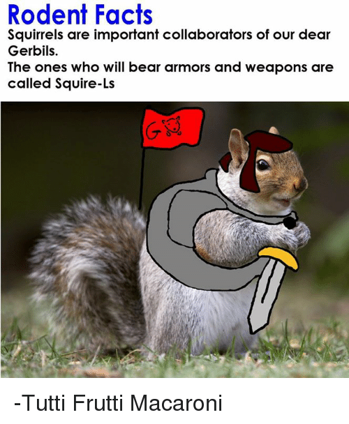 Detail Squirrel In Armor Meme Nomer 43