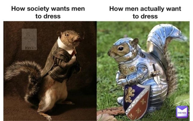 Detail Squirrel In Armor Meme Nomer 7