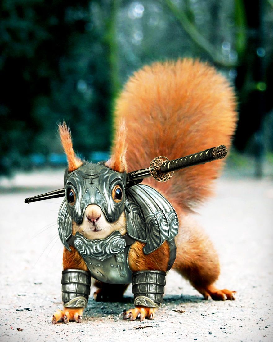 Detail Squirrel In Armor Meme Nomer 8