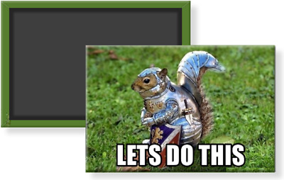 Detail Squirrel In Armor Meme Nomer 9