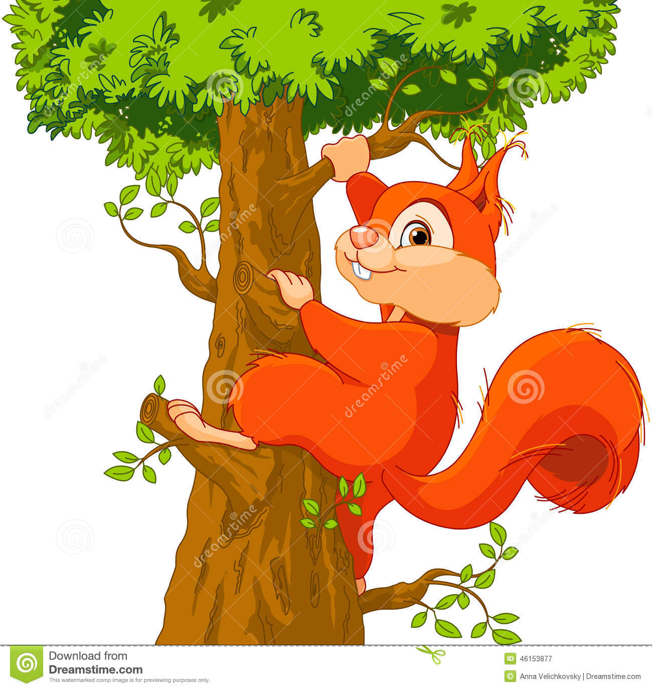 Squirrel In Tree Clipart - KibrisPDR