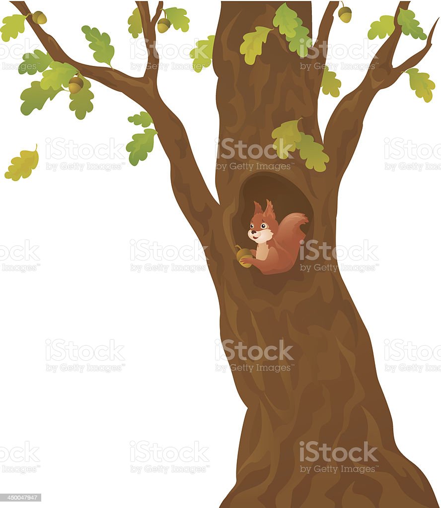 Detail Squirrel In Tree Clipart Nomer 17