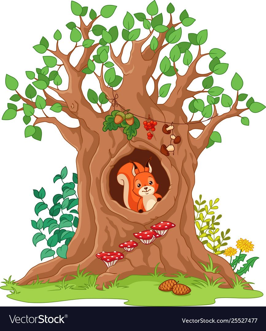 Detail Squirrel In Tree Clipart Nomer 3