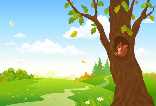 Detail Squirrel In Tree Clipart Nomer 21