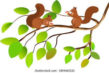 Detail Squirrel In Tree Clipart Nomer 45