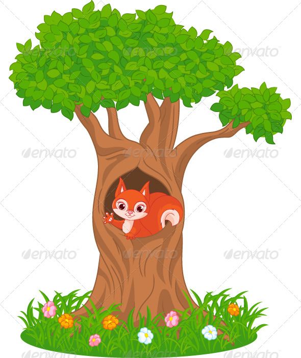 Detail Squirrel In Tree Clipart Nomer 8