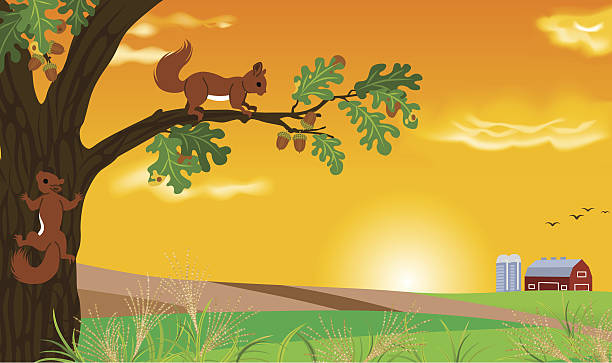 Detail Squirrel In Tree Clipart Nomer 10