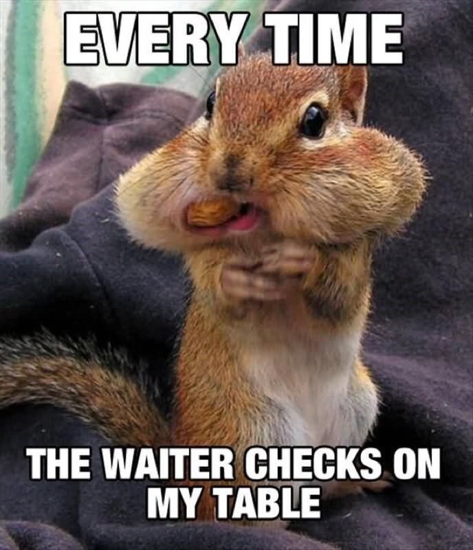 Detail Squirrel Meme Nuts Nomer 13