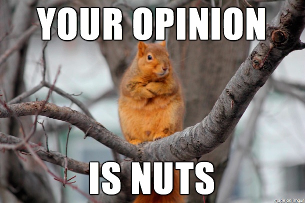 Detail Squirrel Meme Nuts Nomer 15
