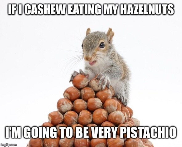 Detail Squirrel Meme Nuts Nomer 22