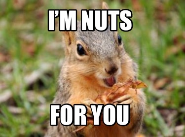 Detail Squirrel Meme Nuts Nomer 32