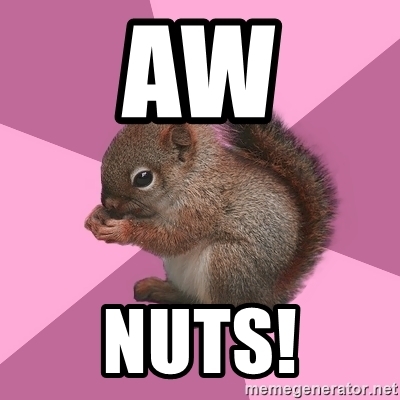 Detail Squirrel Meme Nuts Nomer 34