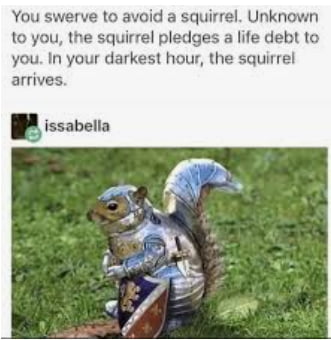 Detail Squirrel Meme Nuts Nomer 37