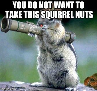 Detail Squirrel Meme Nuts Nomer 43