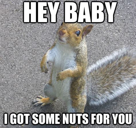 Detail Squirrel Meme Nuts Nomer 8