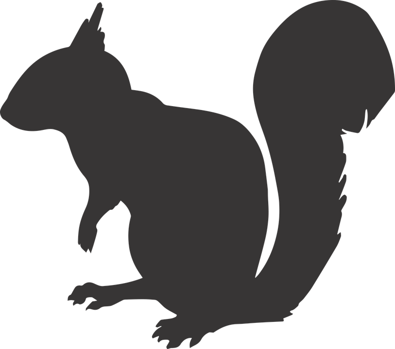 Detail Squirrel Silhouette Vector Nomer 12