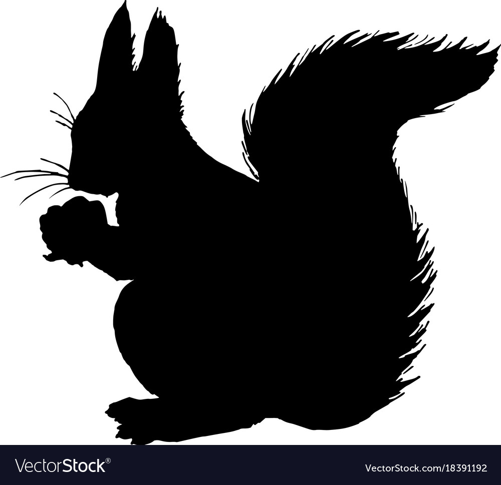 Detail Squirrel Silhouette Vector Nomer 3