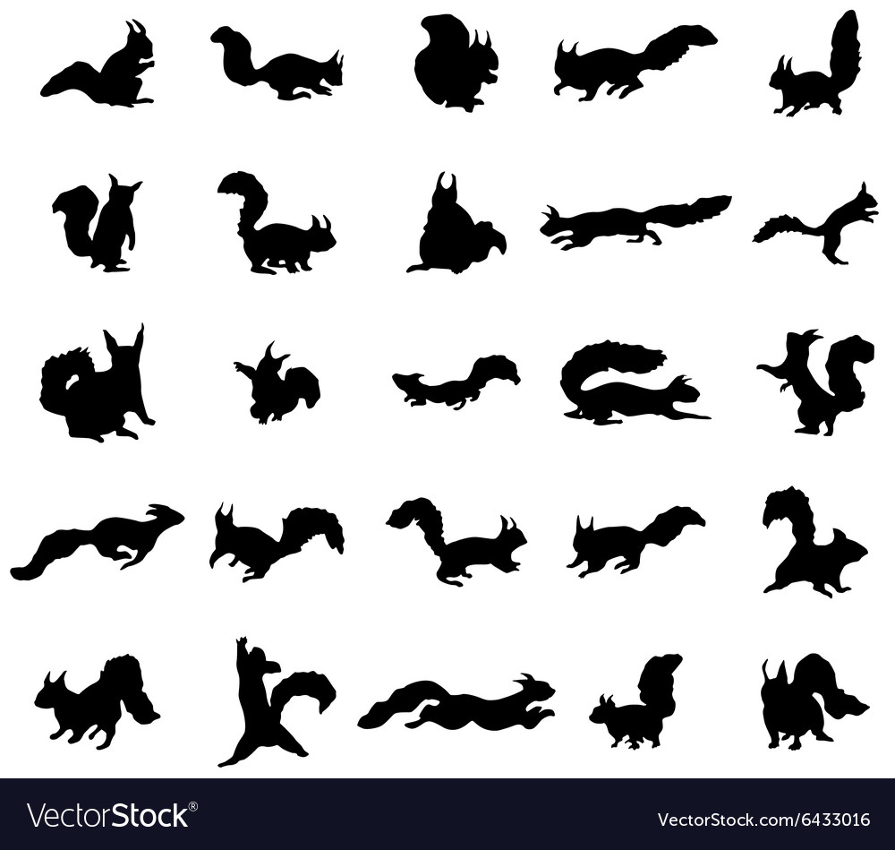 Detail Squirrel Silhouette Vector Nomer 36