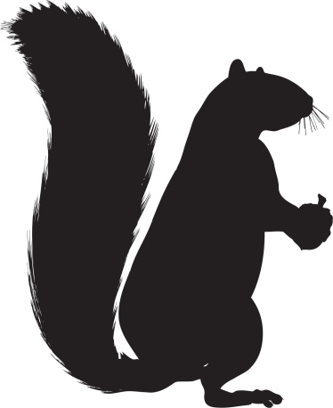 Detail Squirrel Silhouette Vector Nomer 49
