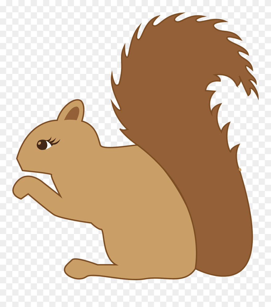 Detail Squirrel Transparent Background Nomer 20